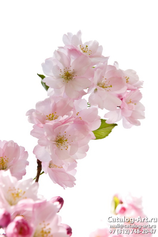 Blossom tree 47